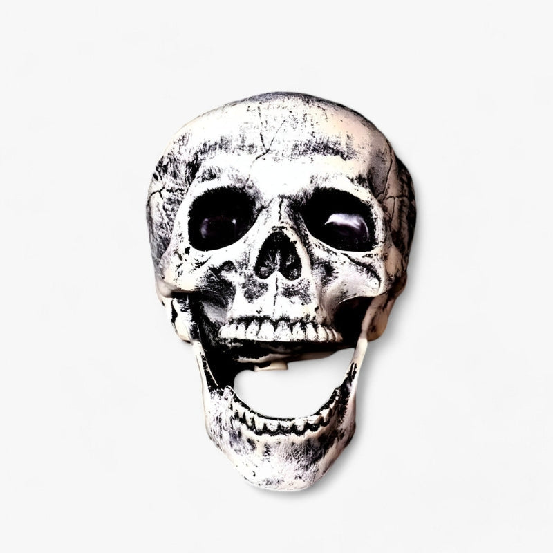 BoneChill Halloween Skelet & Kranie Dekoration – Ægte Skræmmende Stemning til Fest & Spøgelseshus