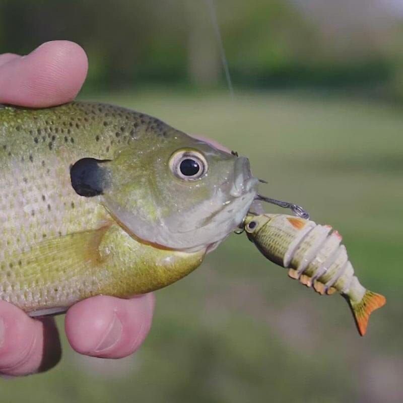 Små Fiskelokker - Perfekte til Præcisionsfiskeri