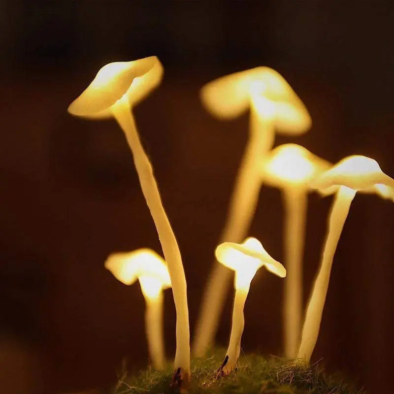 GlowShroom Ambient Lampe