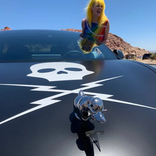 CarMascot- Stilfuldt krom ænderpynt
