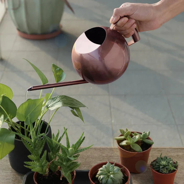 AquaSleek - præcisionsvandkande til sarte planter